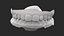 3D Realistic Dental Model of 30s Female model