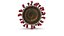 Novel Coronavirus - Collection of 4