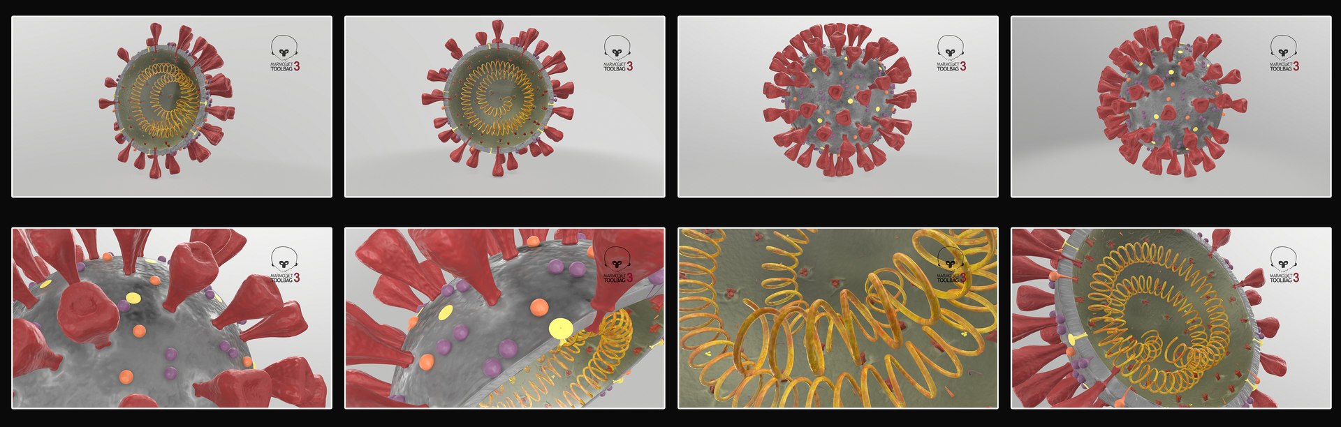 novel coronavirus virus science 3D https://p.turbosquid.com/ts-thumb/KL/Ir9cut/2g6wquDa/ncs_pbr/jpg/1591027646/1920x1080/fit_q87/ebd4a580abae82f72a013e5c067ac829c79a4499/ncs_pbr.jpg