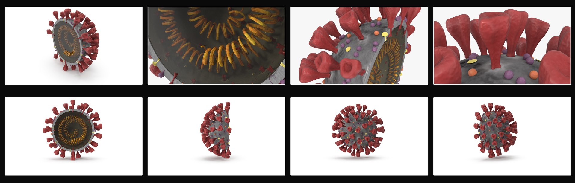 novel coronavirus virus science 3D https://p.turbosquid.com/ts-thumb/KL/Ir9cut/CRqXb2iS/ncs_presentation/jpg/1591027616/1920x1080/fit_q87/ffd1eb1c20aa61baab2c10026b30c9d8d57783a6/ncs_presentation.jpg