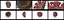 Novel Coronavirus - Collection of 4