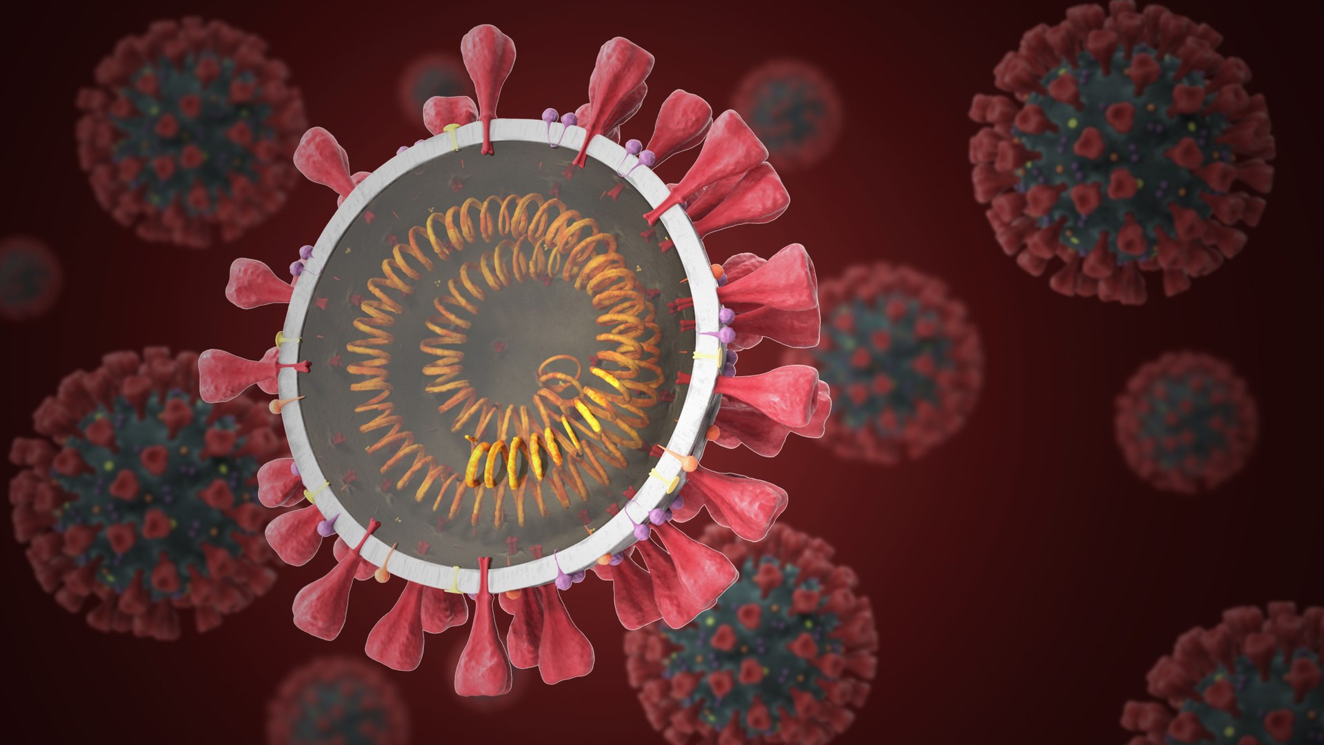 novel coronavirus virus science 3D https://p.turbosquid.com/ts-thumb/KL/Ir9cut/FFYqu8mp/contextsignature/jpg/1590691918/1920x1080/fit_q87/92d363978b223280467c408855c11a51ff762049/contextsignature.jpg