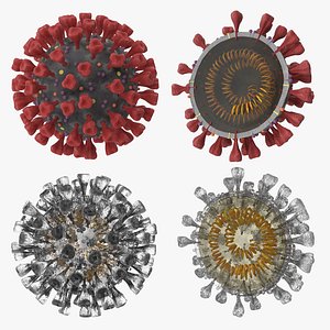 Novel Coronavirus - Collection of 4