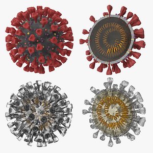 Novel Coronavirus - Collection of 4