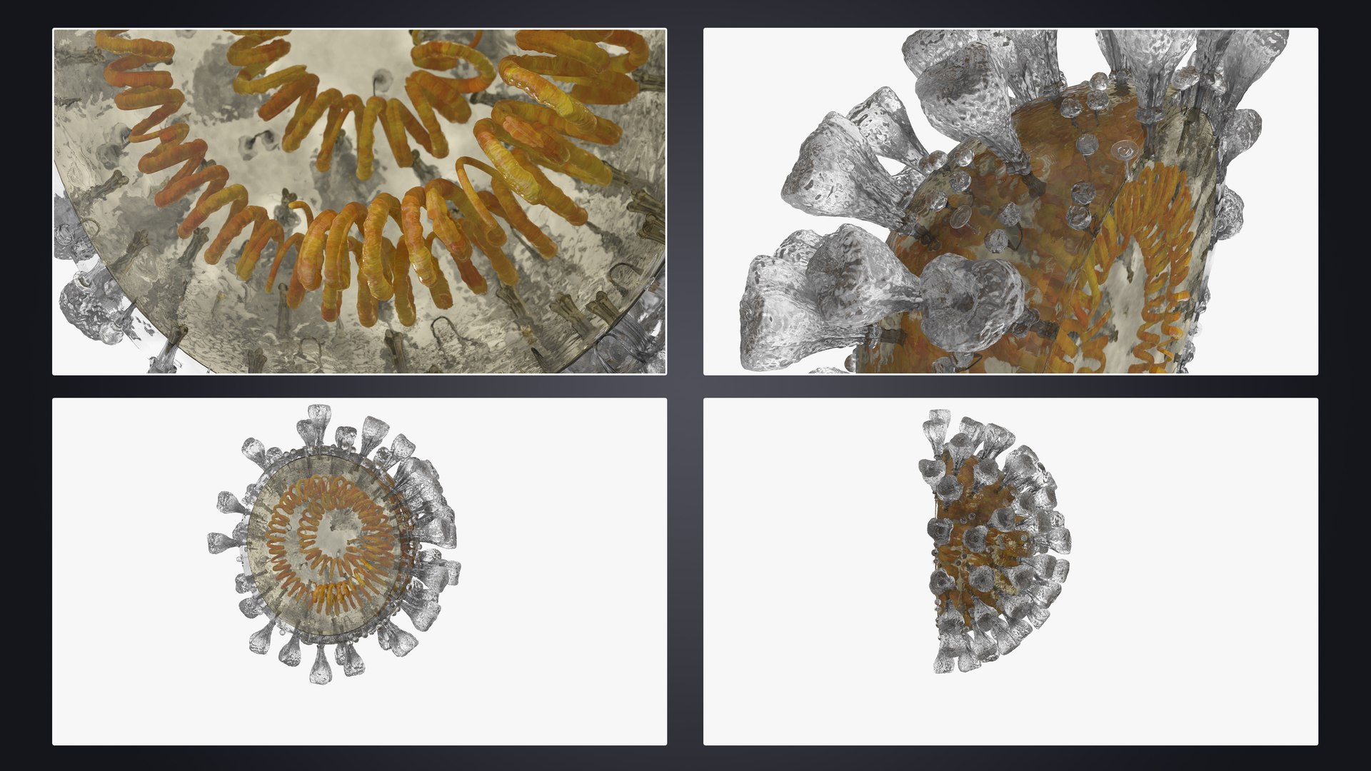 novel coronavirus virus science 3D https://p.turbosquid.com/ts-thumb/KL/Ir9cut/QQaRDVTh/ncst_persentation/jpg/1591028488/1920x1080/fit_q87/3fcd3decb9c1e85a3fd103de86e6f05dfe87ddc6/ncst_persentation.jpg