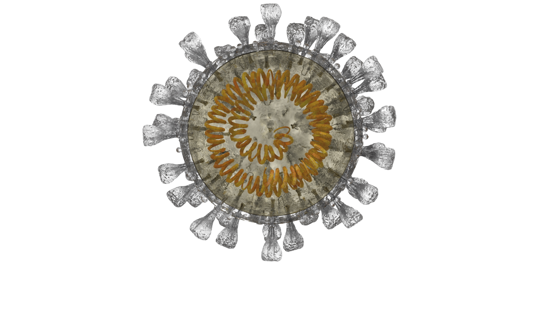 novel coronavirus virus science 3D https://p.turbosquid.com/ts-thumb/KL/Ir9cut/Y40p9OKY/novelcoronaviruscrosssection_turn_color/jpg/1591028321/1920x1080/turn_fit_q99/2e91f50d459af266644734f9abdd5d8bca18949e/novelcoronaviruscrosssection_turn_color-1.jpg