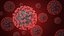 Novel Coronavirus - Collection of 4