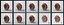 Novel Coronavirus - Collection of 4