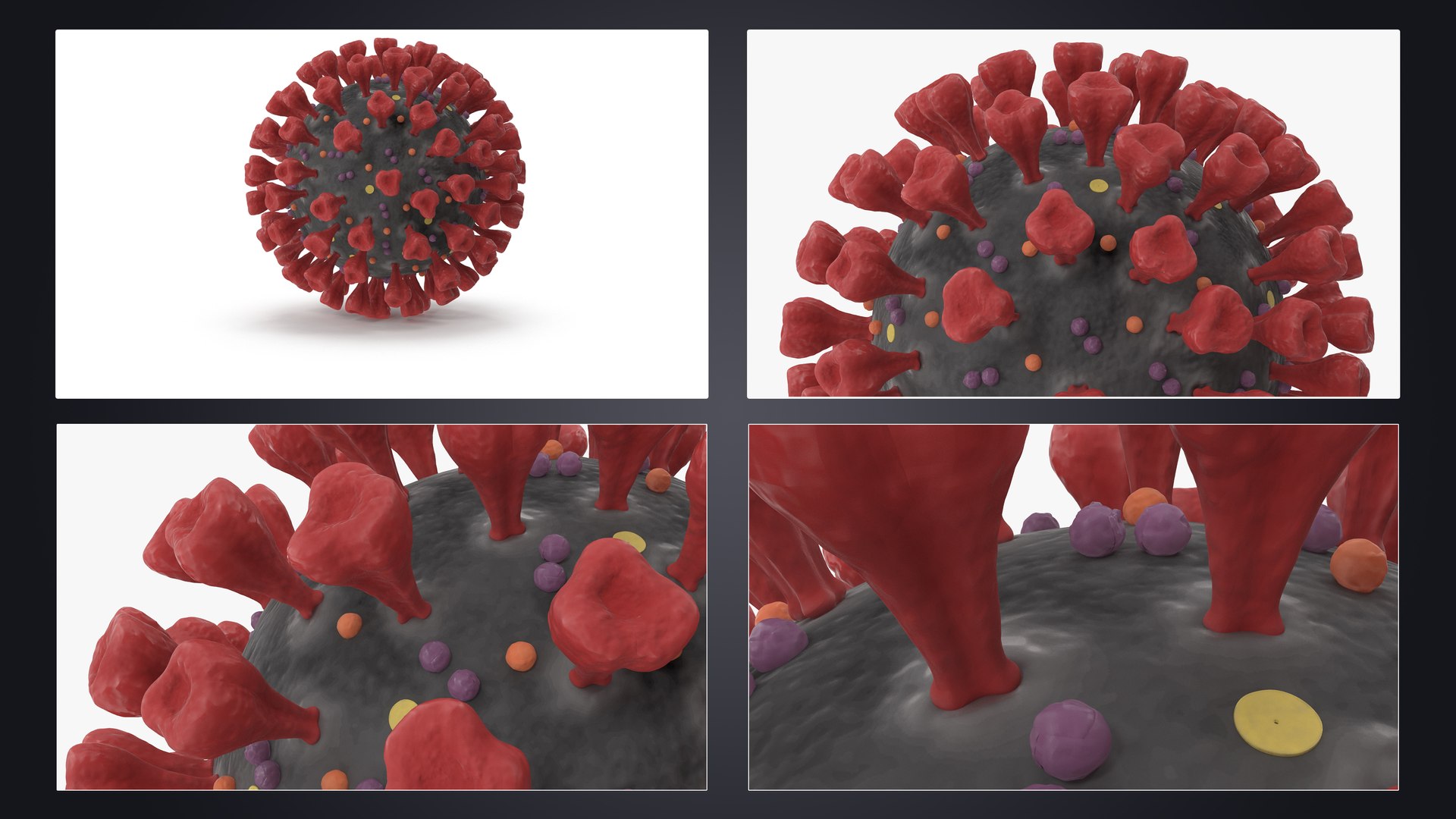 novel coronavirus virus science 3D https://p.turbosquid.com/ts-thumb/KL/Ir9cut/lxY6M7is/nc_presentation/jpg/1590683747/1920x1080/fit_q87/e6e95918fed5a7454405c85a5cd9737e53b211d8/nc_presentation.jpg