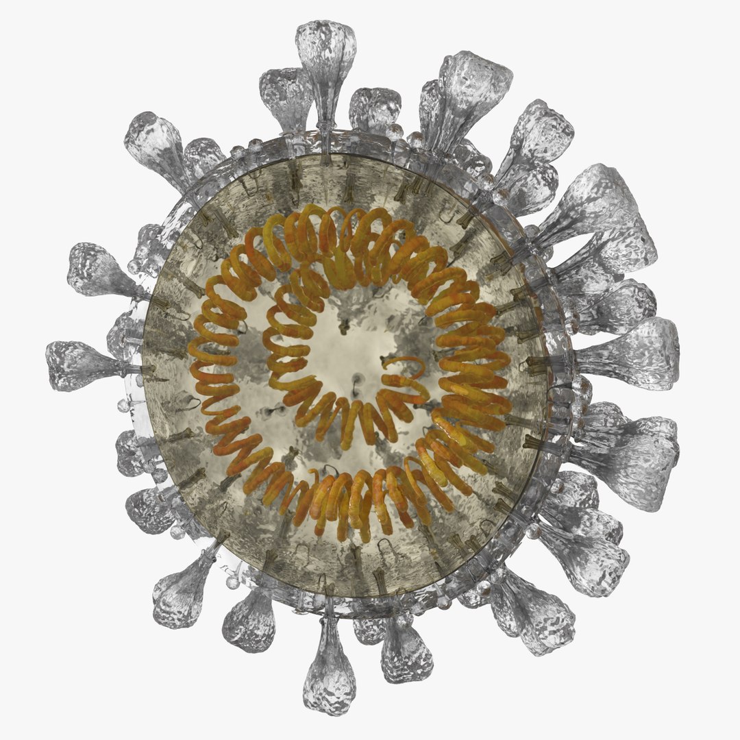 novel coronavirus virus science 3D https://p.turbosquid.com/ts-thumb/KL/Ir9cut/qU1Usqz5/signature0000/jpg/1591028301/1920x1080/fit_q87/fdedef32d0c73cf3c2ea4d464b858c4ccb2e5af7/signature0000.jpg