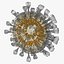 Novel Coronavirus - Collection of 4