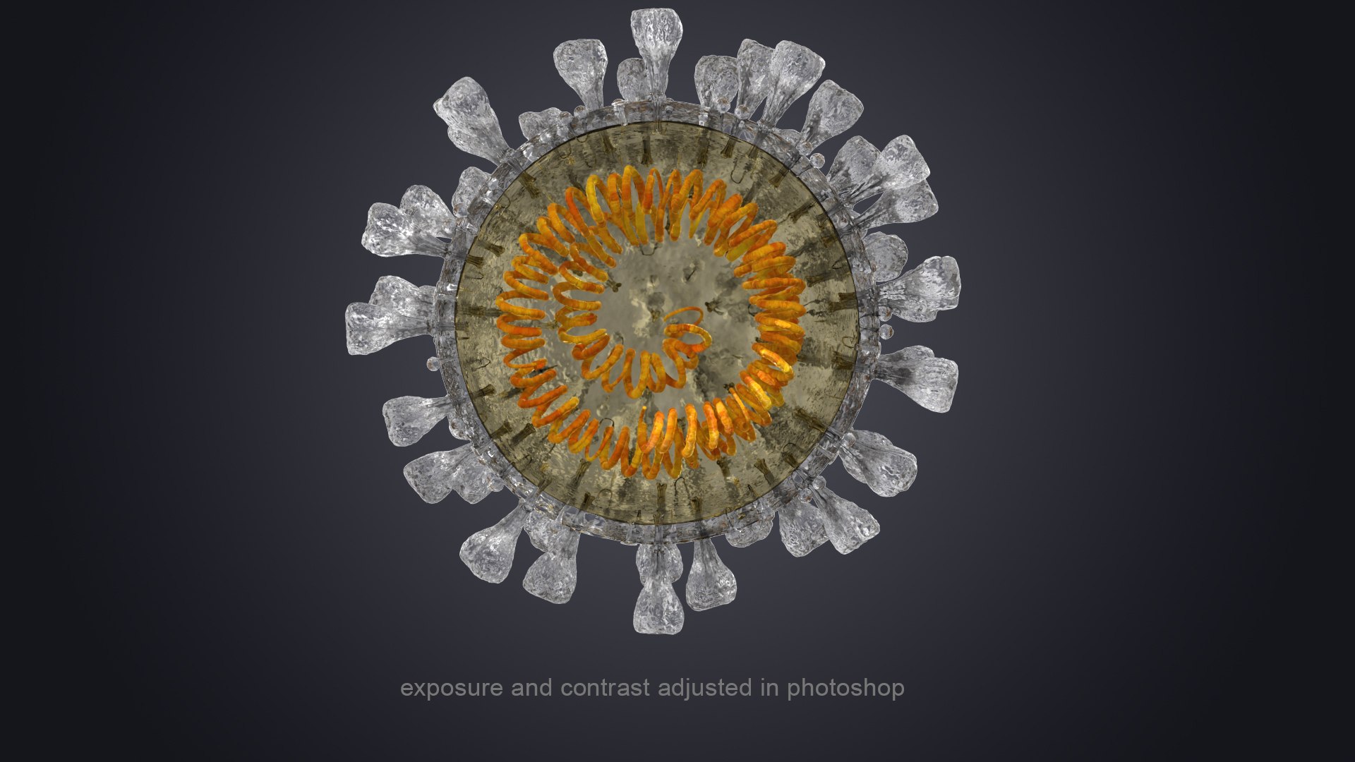 novel coronavirus virus science 3D https://p.turbosquid.com/ts-thumb/KL/Ir9cut/rvzruwON/novelcoronaviruscrosssection_render_color04/jpg/1591028301/1920x1080/fit_q87/78bdc73352f3efd94b907d3d2c7f0c0cf6a6e7b7/novelcoronaviruscrosssection_render_color04.jpg
