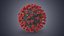 Novel Coronavirus - Collection of 4