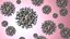Novel Coronavirus - Collection of 4