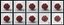 Novel Coronavirus - Collection of 4