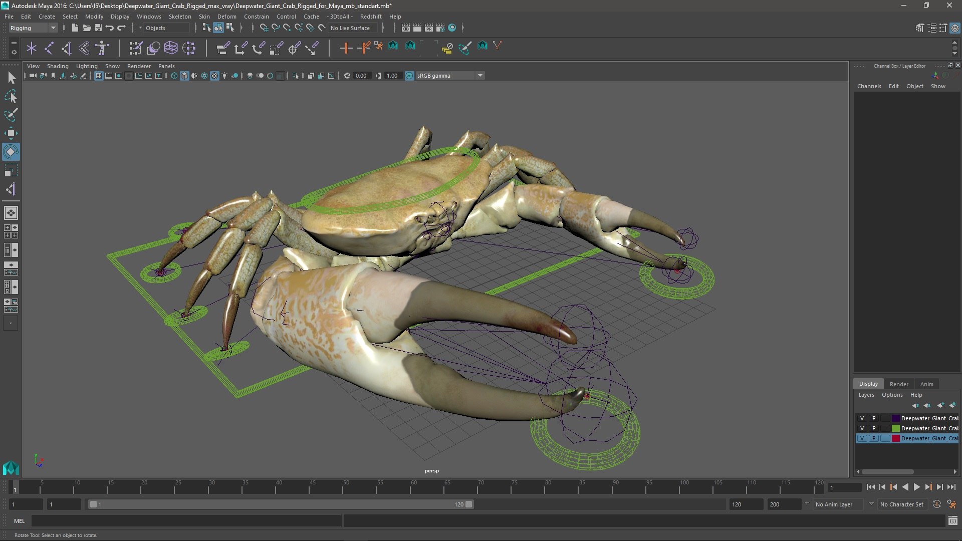 3D Deepwater Giant Crab Rigged For Maya - TurboSquid 2191975