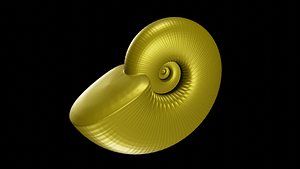 3D Discocone Wide Ribs and nodes model