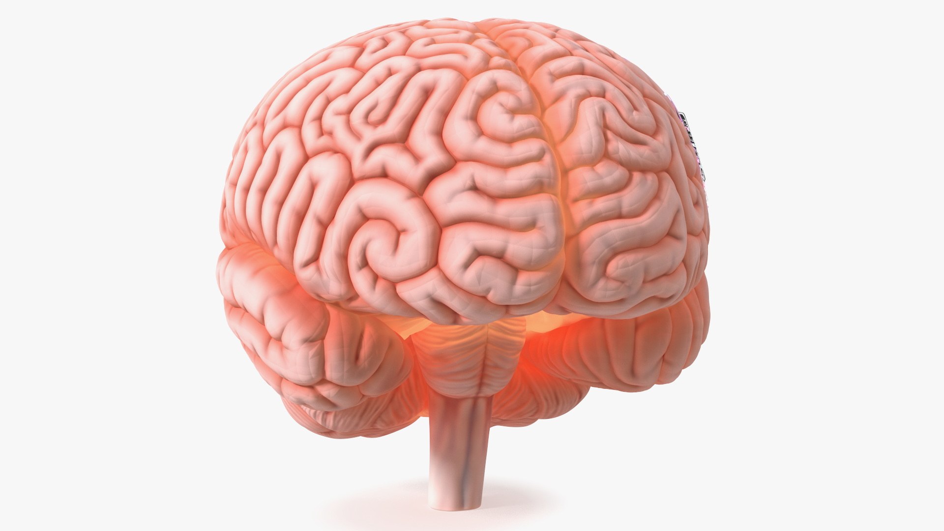 3D Model Human Brain With Microchip Implant With Light - TurboSquid 2270638