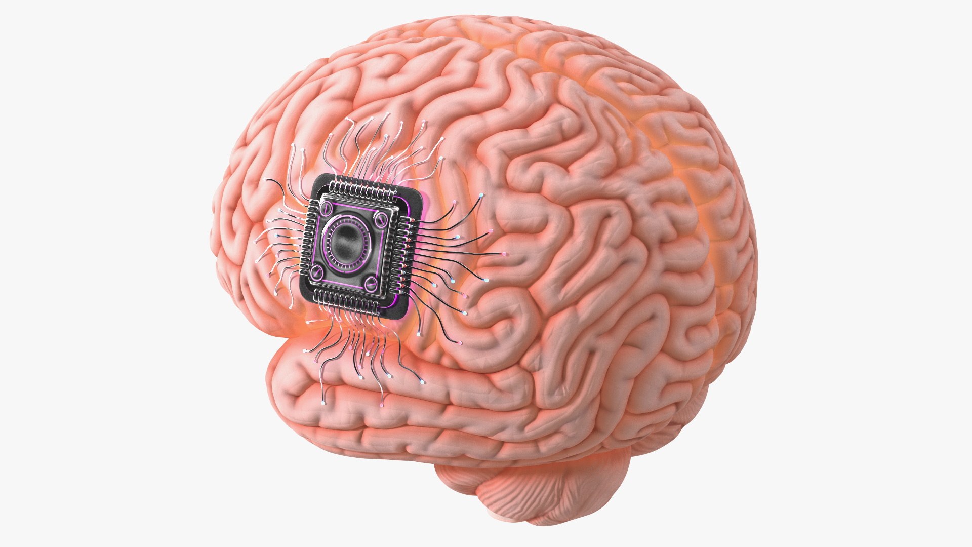 Human Brain with Microchip Implant with Light 3D model preview
