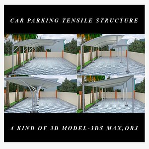 Car parking tensile structure 3D