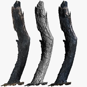3D Burnt Tree Trunk 1x16k Textures Raw 3D scan model