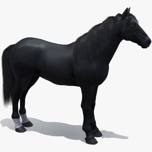realistic black horse 3d max