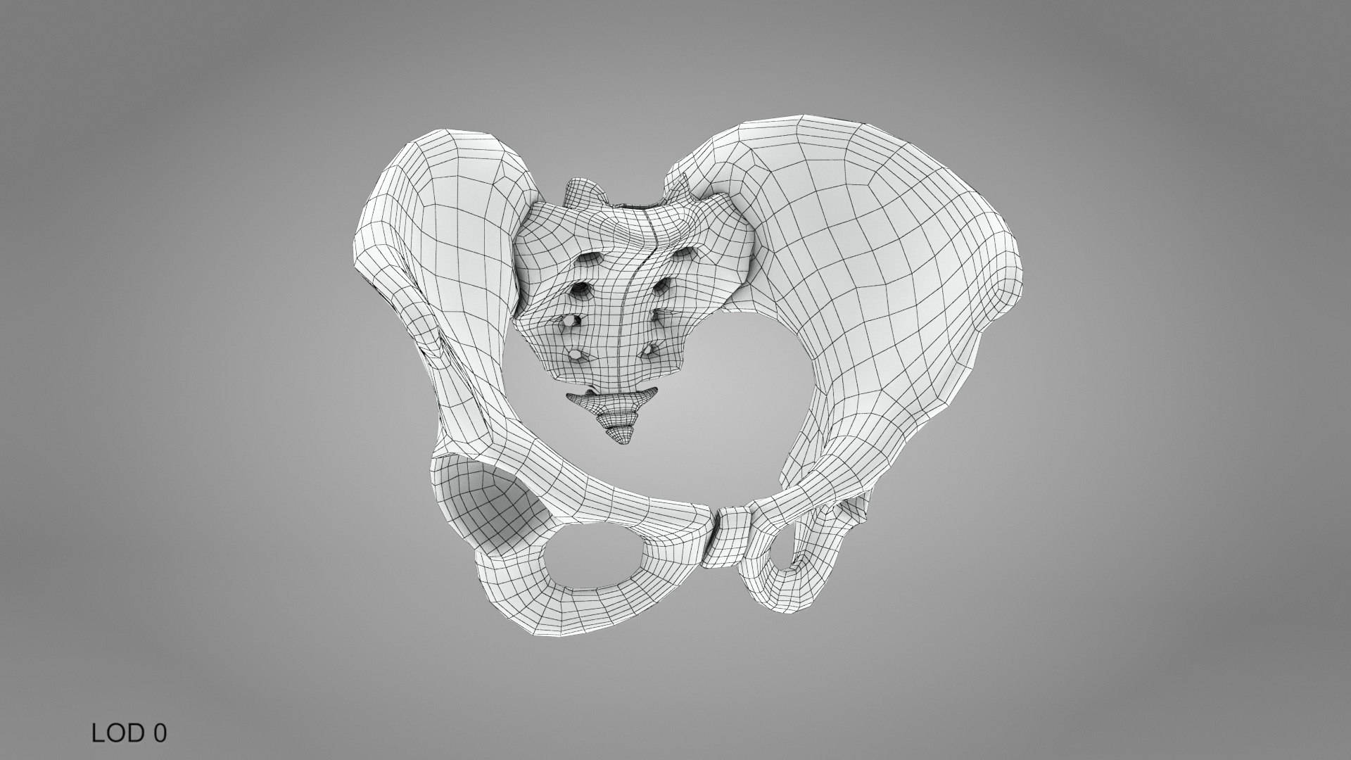 Female Pelvis 3D model https://p.turbosquid.com/ts-thumb/KM/BS7N3q/vi/humanfemalemalepelvis_00017/jpg/1657448959/1920x1080/fit_q87/dadd25fddd505e59ec79b2d55d116e0cc38de007/humanfemalemalepelvis_00017.jpg