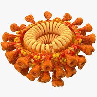 Coronavirus SARS-CoV Cross Section