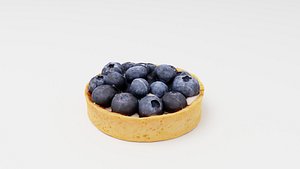 Blueberry tartelette, tart or tartlet pastry