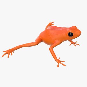 orange poison dart frog model