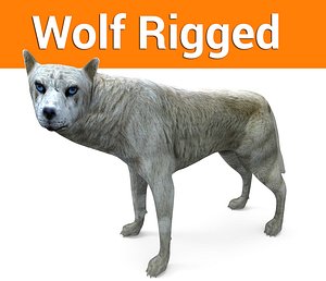 3D model wolf rigged