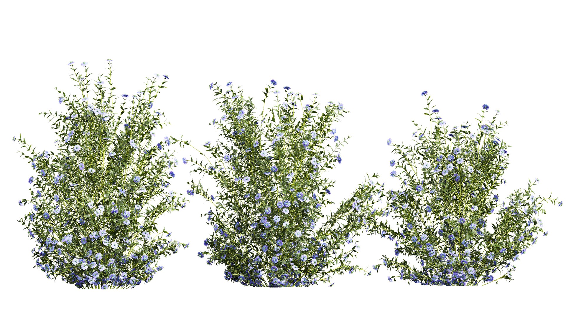 3D 7Different SETS Of Bush Set Vol 39 Model - TurboSquid 2241308