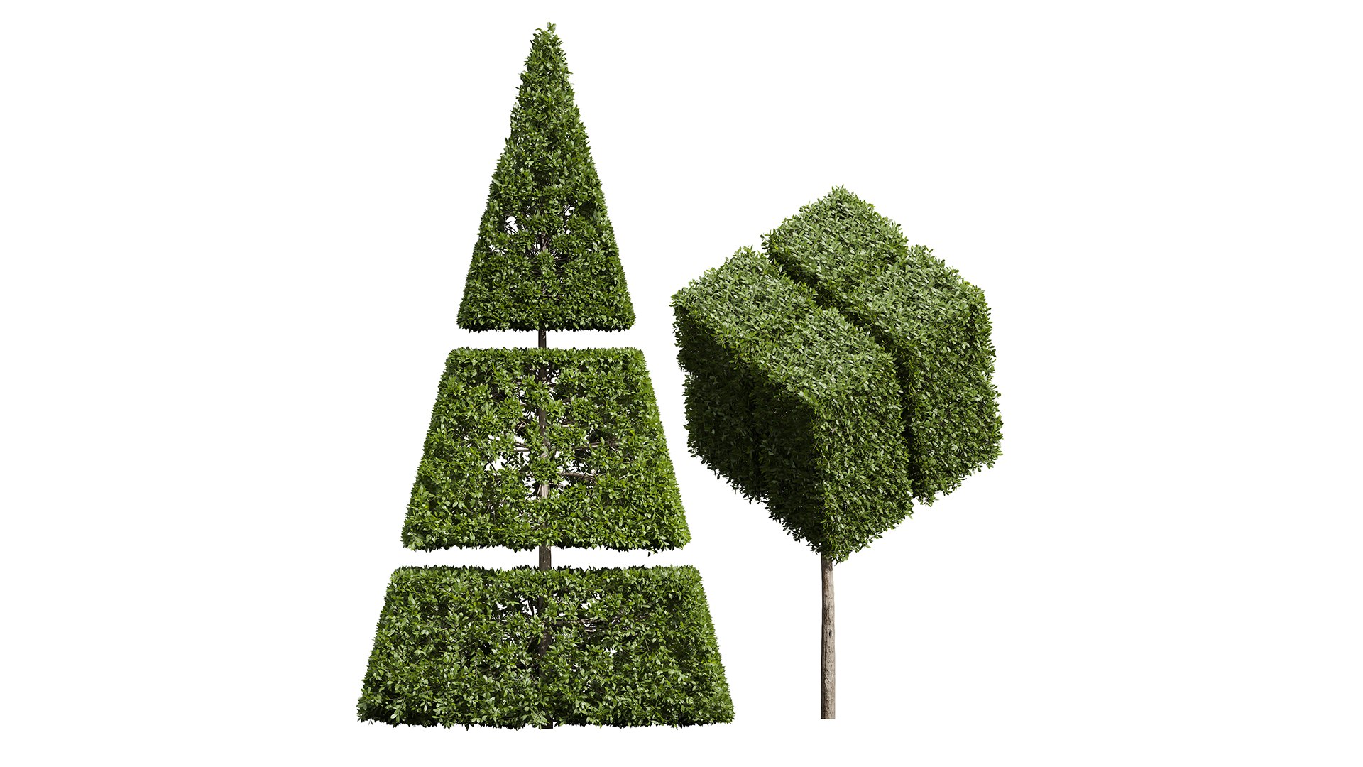 3D 7Different SETS Of Bush Set Vol 39 Model - TurboSquid 2241308
