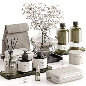 Bathroom Accessories 19 3D
