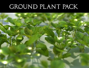 3D ground plant pack