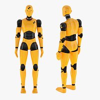 Crash Test Dummy