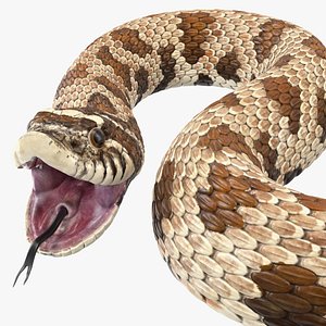 3D brown hognose snake rigged