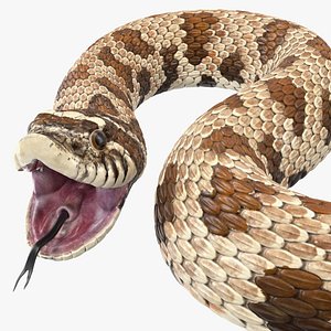 Bushmaster Snake 3D model - Download Animals on