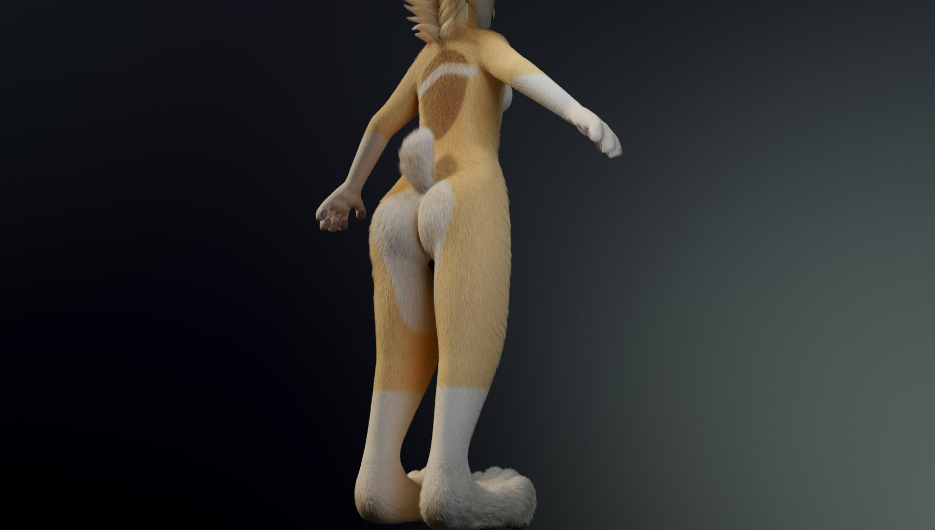 Alexa Anthro Rabbit model https://p.turbosquid.com/ts-thumb/KN/IcawCW/Bc/a8/png/1653018541/1920x1080/fit_q87/b484fba1d8ae10258b85b400930fb3bb7a8fe3bf/a8.jpg