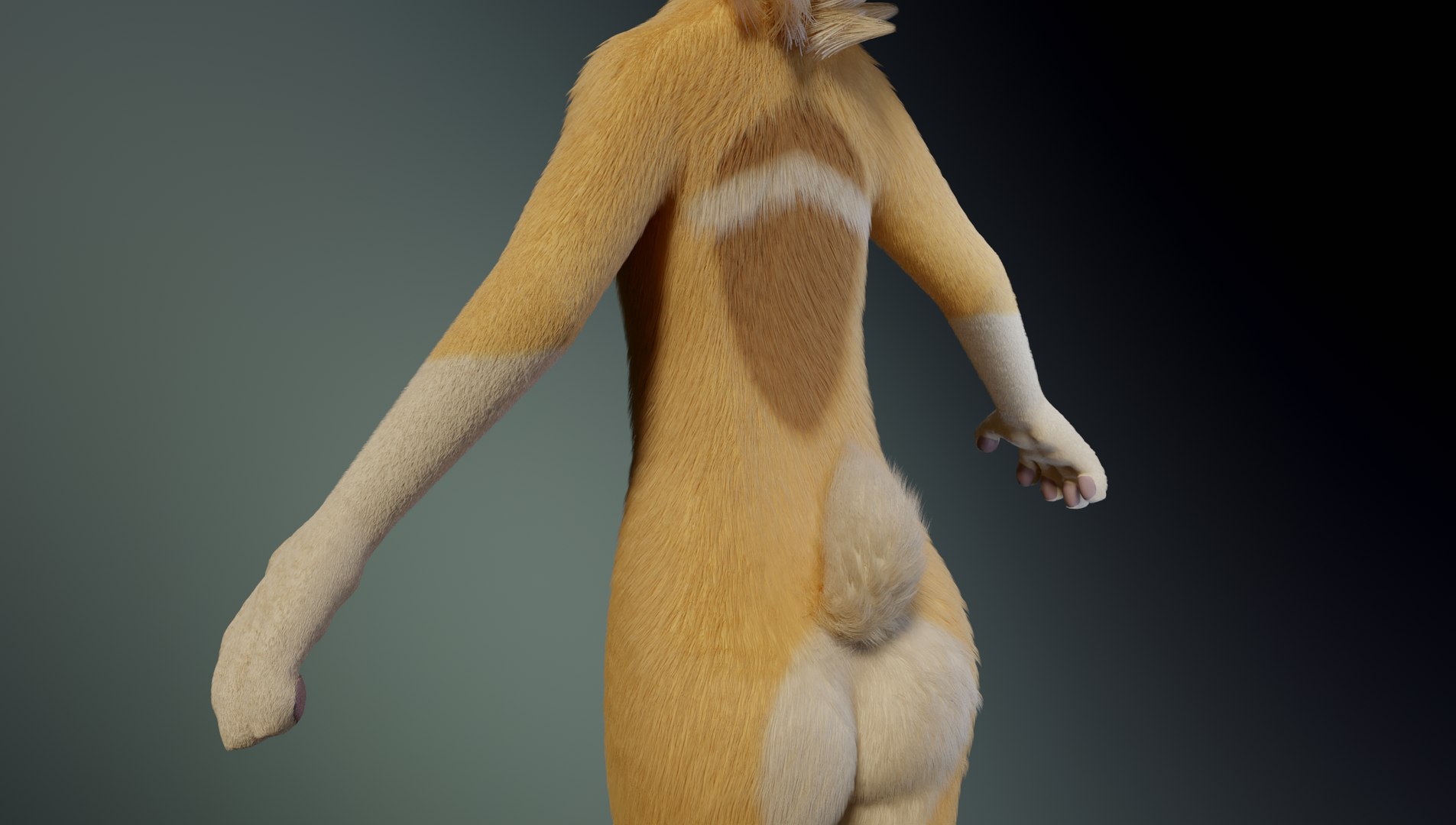 Alexa Anthro Rabbit model https://p.turbosquid.com/ts-thumb/KN/IcawCW/kM/a7/png/1653018551/1920x1080/fit_q87/1043faa16ce12c6f912605885c01df751ce67185/a7.jpg