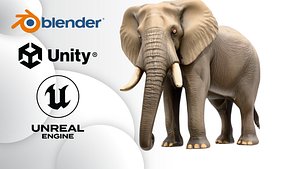 Realistic African Elephant 3D model