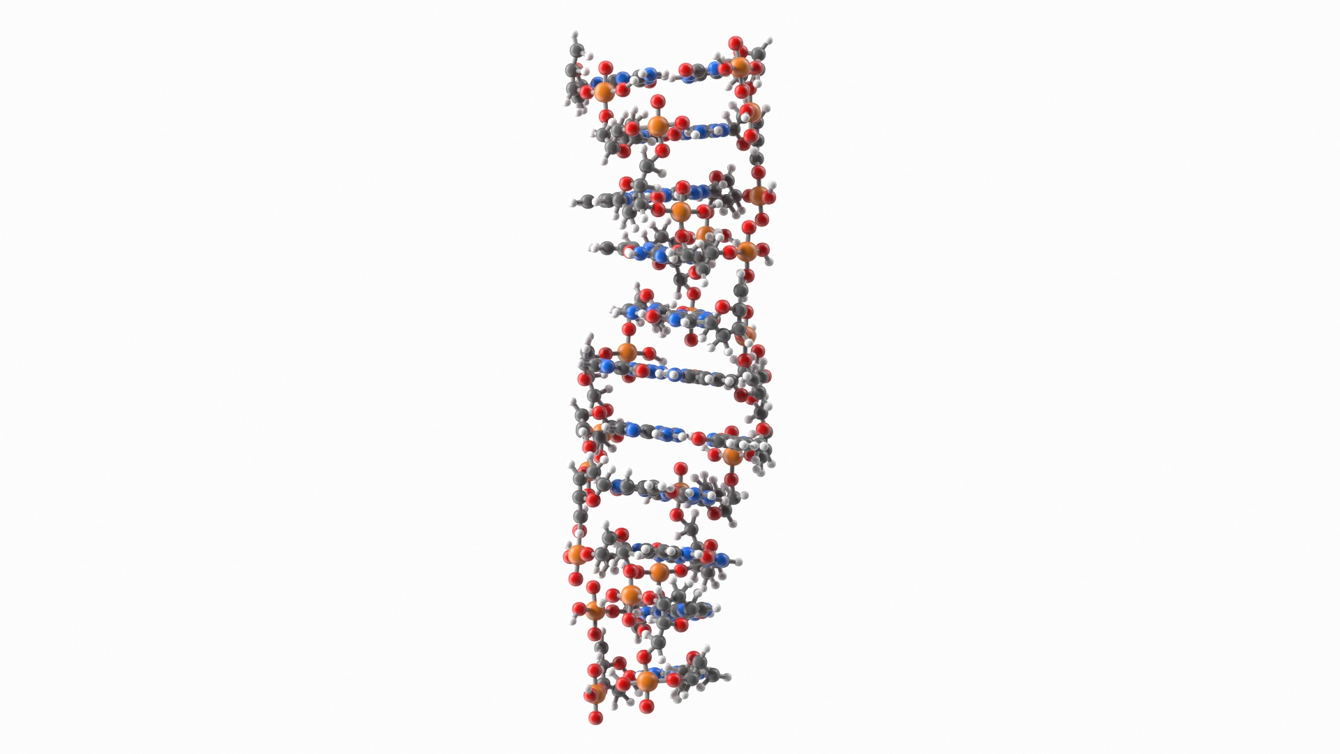 3D Z Form DNA Structure https://p.turbosquid.com/ts-thumb/KN/RGBhwn/FD/z_form_deoxyribonucleic_acid_structure_360/jpg/1775203418/1920x1080/turn_fit_q99/70a16c92316f4c3b9bd493bb2f78cc00b26d57e3/z_form_deoxyribonucleic_acid_structure_360-1.jpg