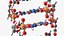 Struktura DNA formy Z