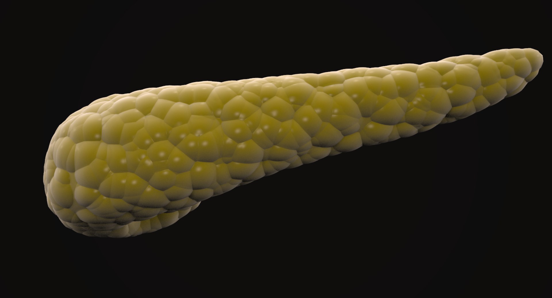 Realistic Pancreas 3D Model - TurboSquid 1188901