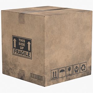 Cardboard Box 1 Worn Closed