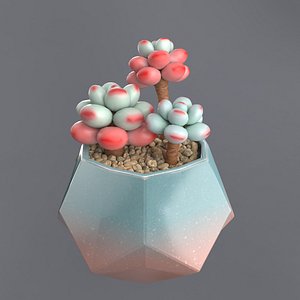 3D Flower in a pot succulent