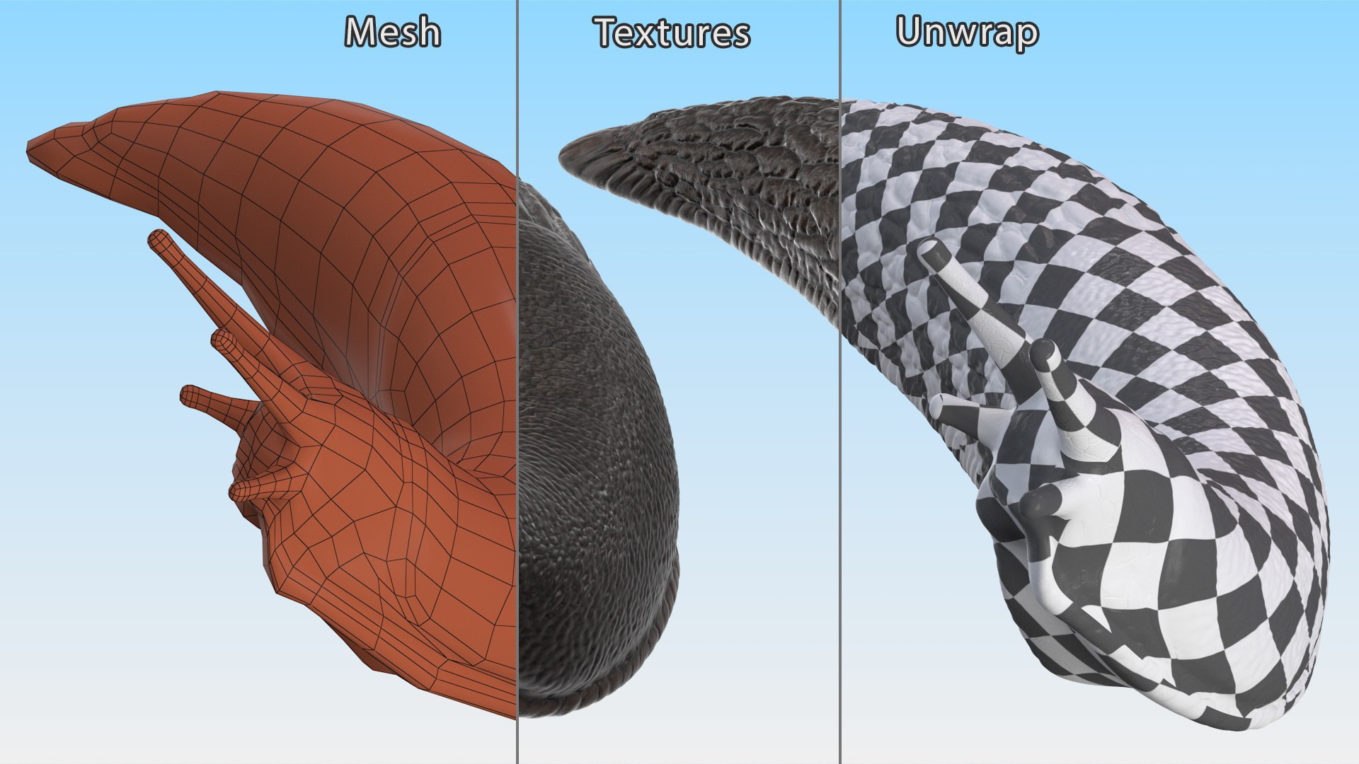 3D Black Slug Reaching Up model https://p.turbosquid.com/ts-thumb/KN/sodbxf/0W/blackslugreachingupc4dmodel014/jpg/1673613468/1920x1080/fit_q87/02d22506d20f45d2ed53c28c2a5d3aef3e635610/blackslugreachingupc4dmodel014.jpg