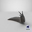 Black Slug Reaching Up