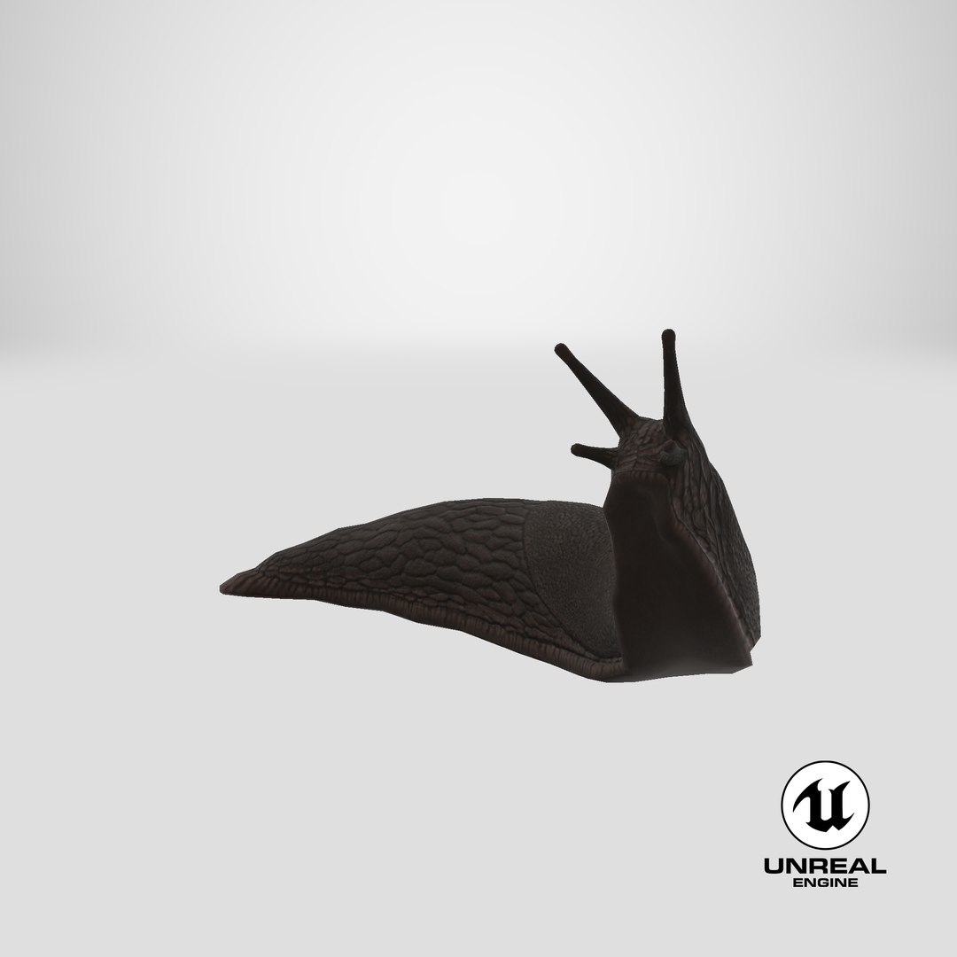3D Black Slug Reaching Up model https://p.turbosquid.com/ts-thumb/KN/sodbxf/3d/stemcell_unreal_render/png/1683490317/1920x1080/fit_q87/ace46bd76219396f030b962a28903765d6b4489e/stemcell_unreal_render.jpg
