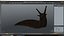 Black Slug Reaching Up